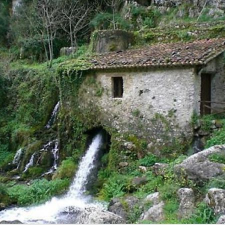 Tortorella B&B Il Melograno מראה חיצוני תמונה